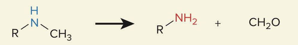 <p>Fármacos que sufren <strong>reacciones de oxidación: N-desalquilación </strong>en su metabolismo:</p>