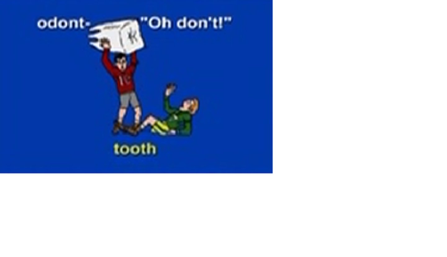 <p>tooth</p>
