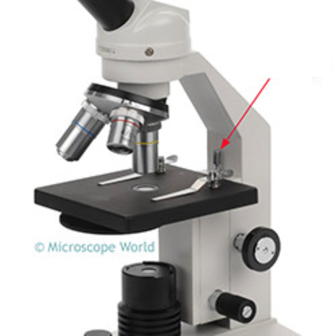 <p>It prevents the objective from hitting the specimen.</p>