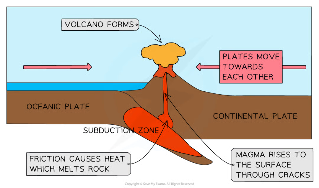 <p>plates are moving together. the denser heavier oceanic plate subducts under the lighter less dense continental plate</p><p>e.g. nazca plate &amp; south american plate</p><p>both volcanoes &amp; earthquakes occur</p>