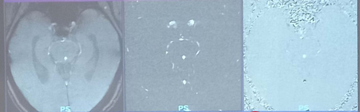 <p>Gọi tên các hình ảnh sau</p>