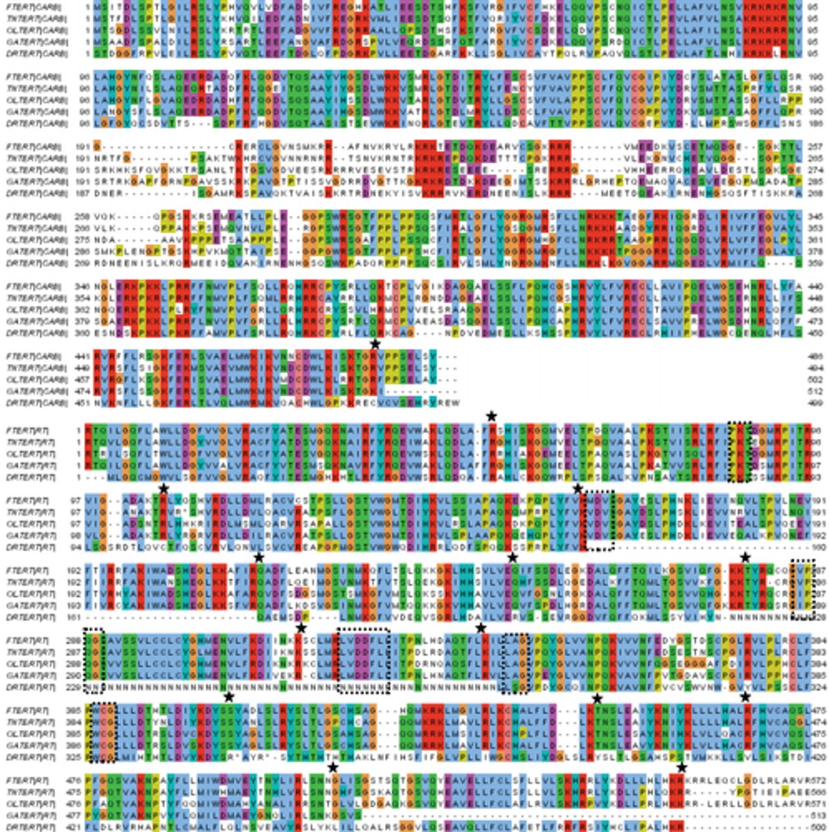 <p>An area of science uses computer technology to collect, store, analyse, and share biological data such as sequences of nucleotides in DNA or sequences of amino acids in proteins</p>