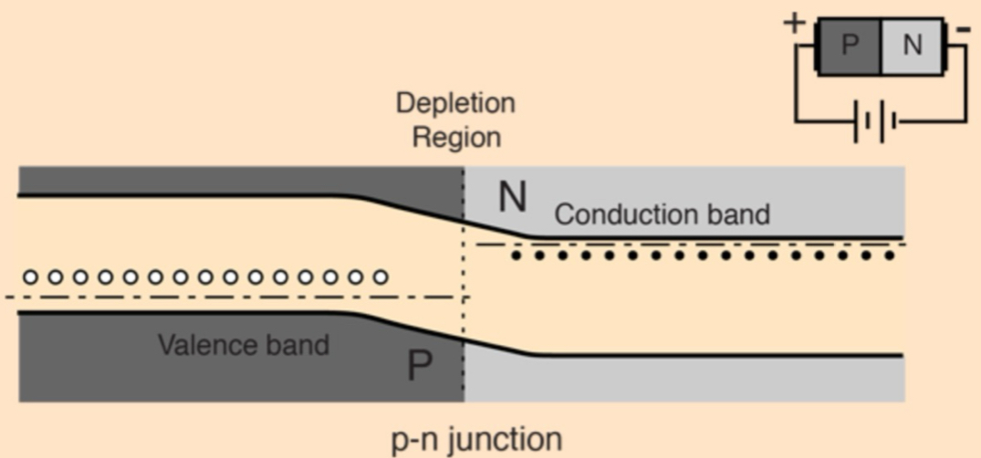 <ul><li><p>p-side is connected to (+) terminal of power source + n-side to (-) terminal,</p><ul><li><p>this reduces depletion region + lowers the energy barrier</p></li></ul></li><li><p>electrons from n-type side can move downhill across the junction, filling holes in the p-type region, effectively allowing current to flow</p></li><li><p>junction acts like diode switch in the on position, with electron conduction from right to left + holes appearing to move in the opposite direction</p></li></ul><p></p>