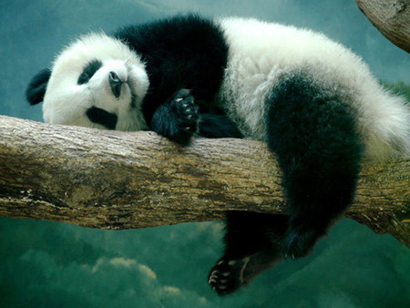 <p>comfortable; feeling well</p>
