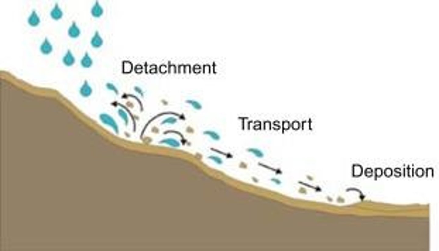 <p>A process where water enters cracks in rocks, freezes, expands by about 10%, and causes the rock to shatter.</p>