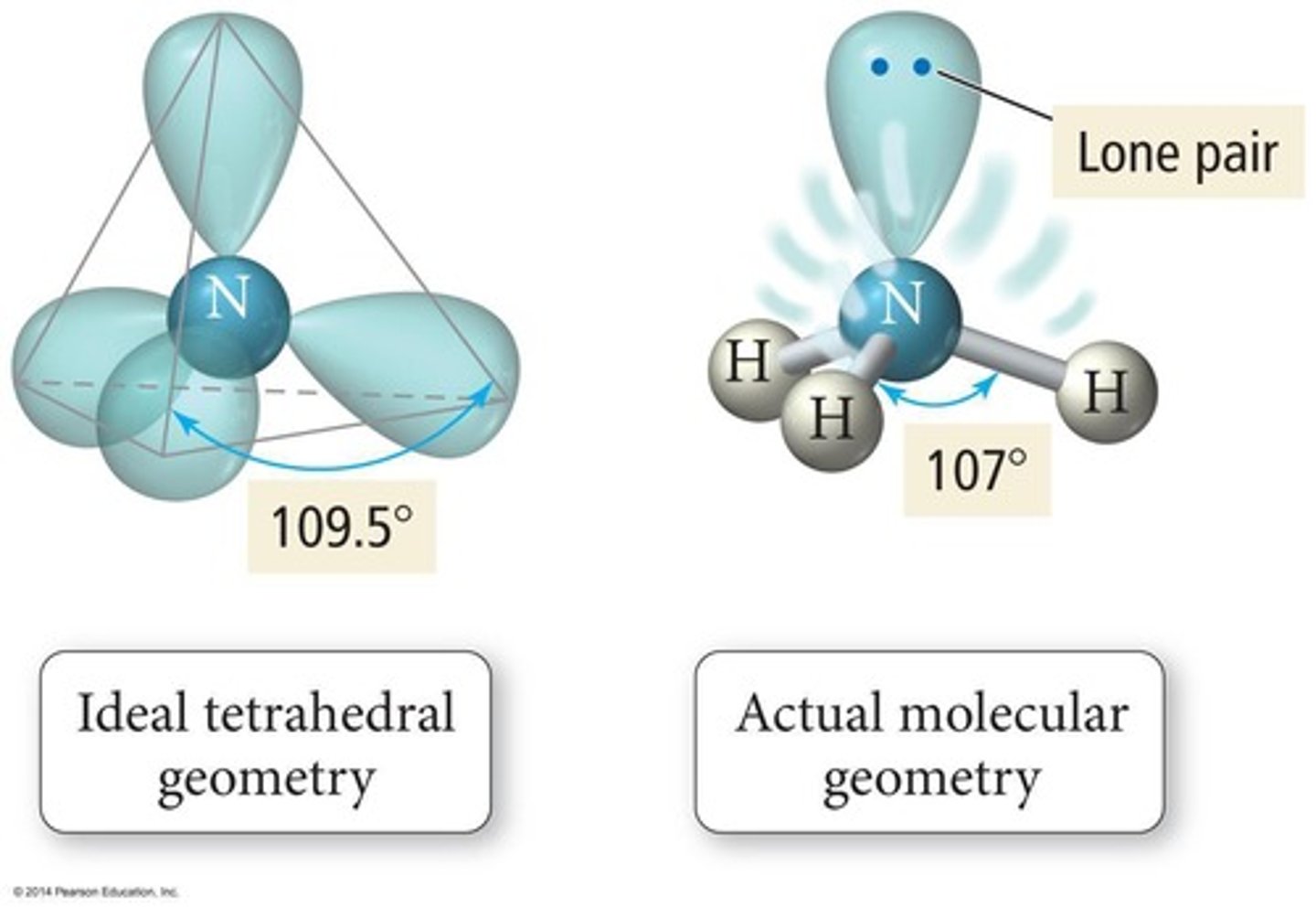 <p>Non-bonding electrons affecting molecular shape.</p>