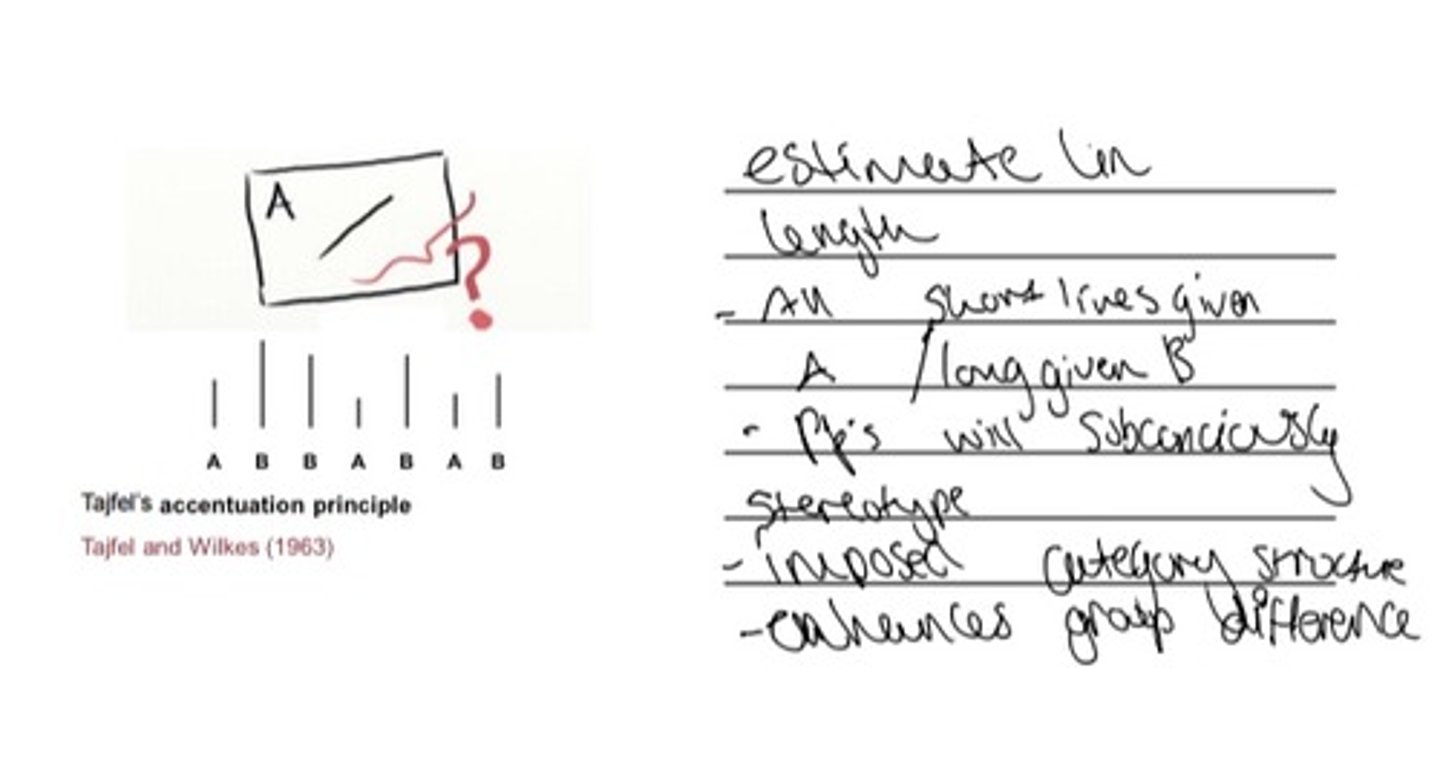 <p>Lab experiment looking at the impact categories have on our perception of the differences between lines <br><br>(links to category accentuation -&gt; stereotypes)</p>