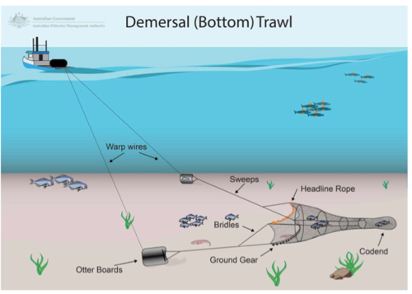 <p>Especially harmful fishing method that involves dragging a large net along ocean floor- stirs up sediment (turbidity), destroys coral reef structure and large amount of bycatch</p>