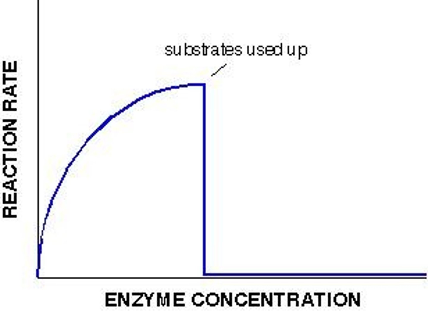 <p>The rate of reaction increases. The reaction will stop when all of the substrates have been turned into products.</p>