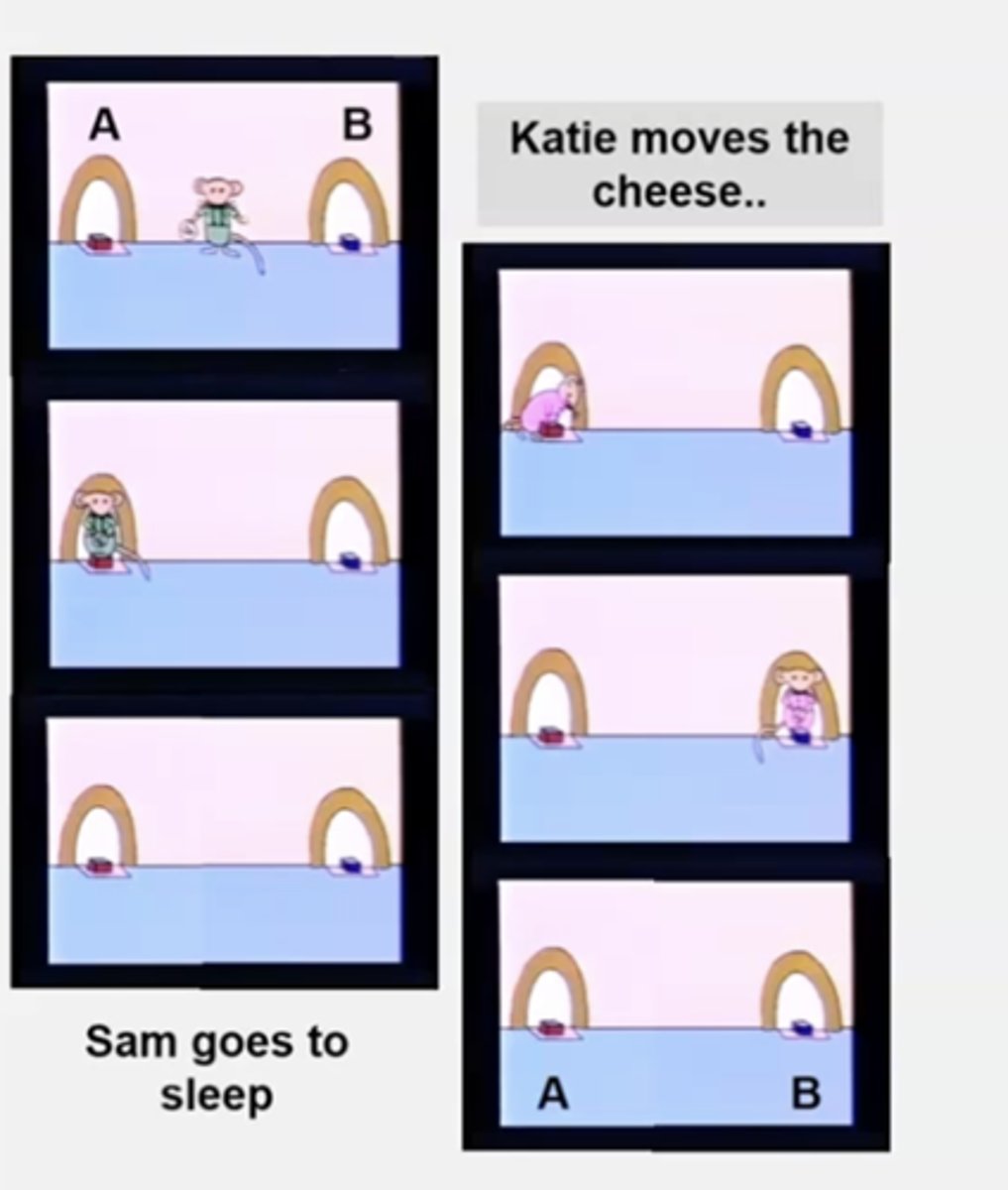 <p>unexpected transfer task. </p><p>- sam puts cheese in box A and then sleeps </p><p>Katie moves cheese from Box A to B </p><p>"i wonder where sam is going to look for his cheese" (record child's eye gaze) </p>