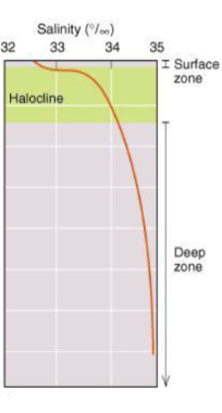 <p>Salinity is changing the quickest</p>