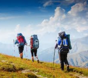 <p>has not had, had</p>