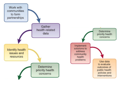 <p>effective use of info</p><ul><li><p>tech influence capacity and ability to generate and access</p></li></ul><p>Evidence based decision making shapes policies, programs, practices</p><p>Skills in collecting, analyzing, disseminating, effectively using data and info</p><p>Other functions </p><p>DH play leadership role in community oral health assessments</p><ul><li><p>national, state, local levels </p></li><li><p>skills to asses problems, evaluate outcomes of population based and personal oral health services in public, private, nonprofit sectors </p></li></ul><p></p>