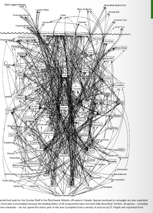 <p><span><span>Tons of stuff here that aren’t represented</span></span></p>