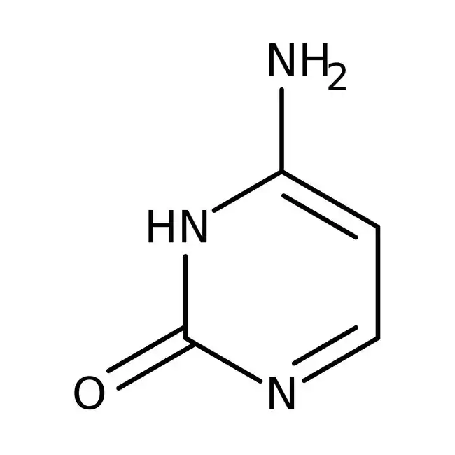 <p>what is this nitrogen base </p>