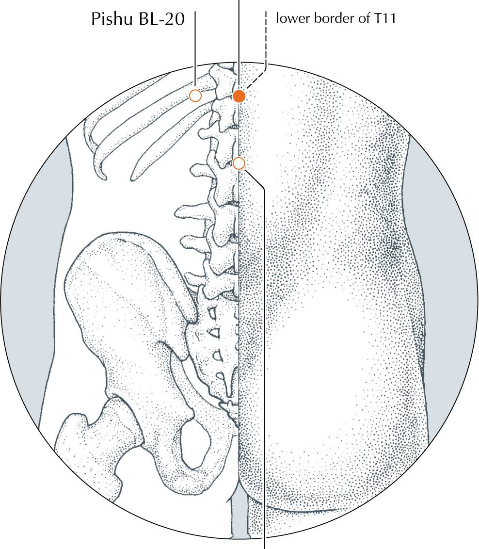 <p>DU-6</p>