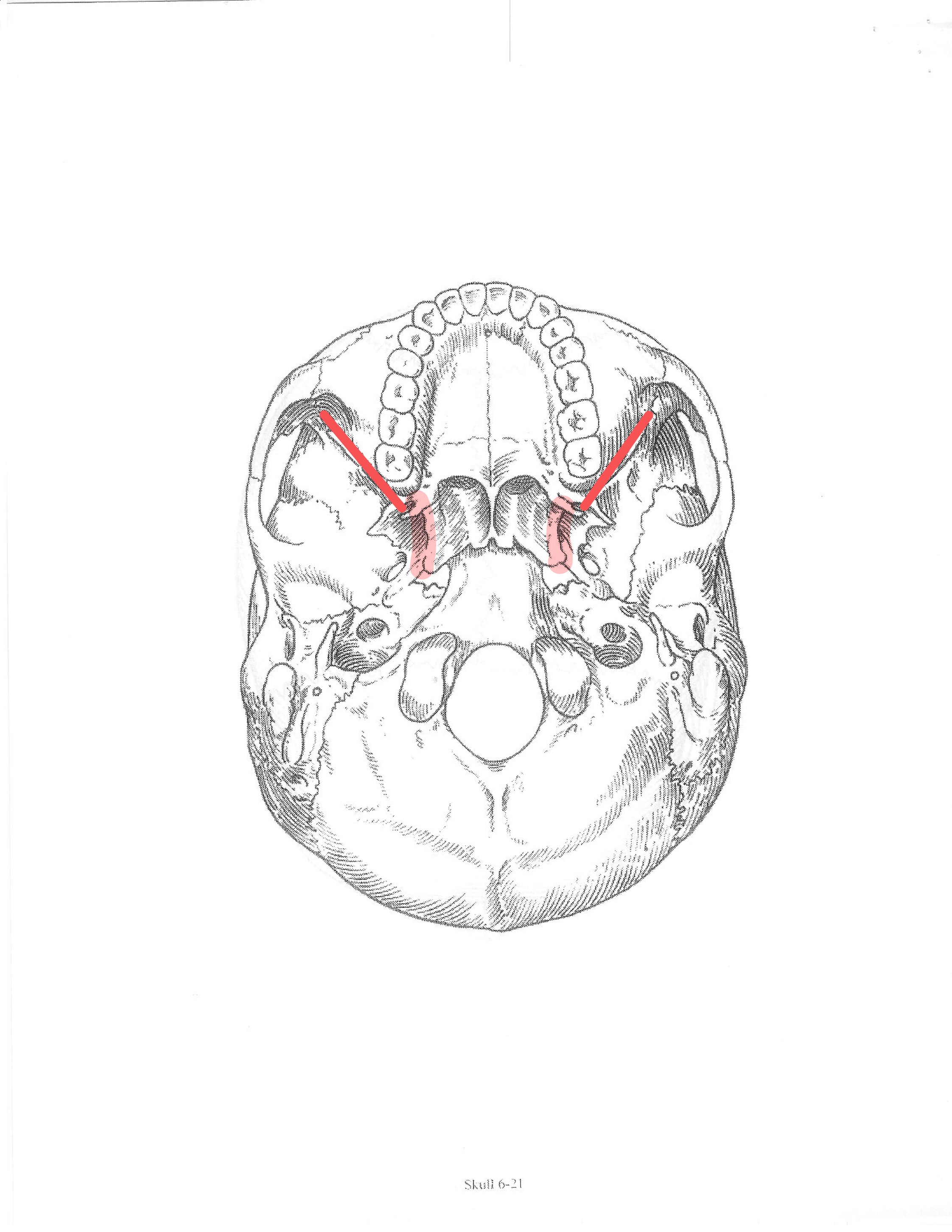 <p>ID feature</p>