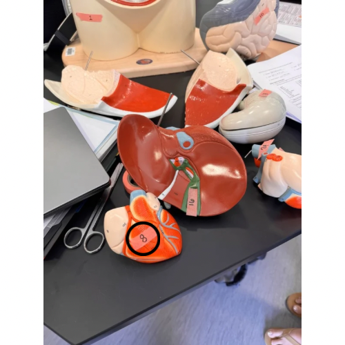term image