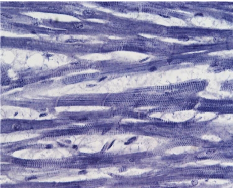 <p>Parts of cell</p>