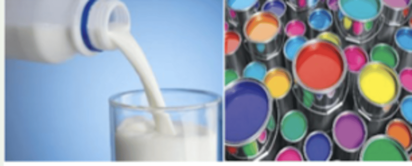 <p>colloidal dispersion</p>