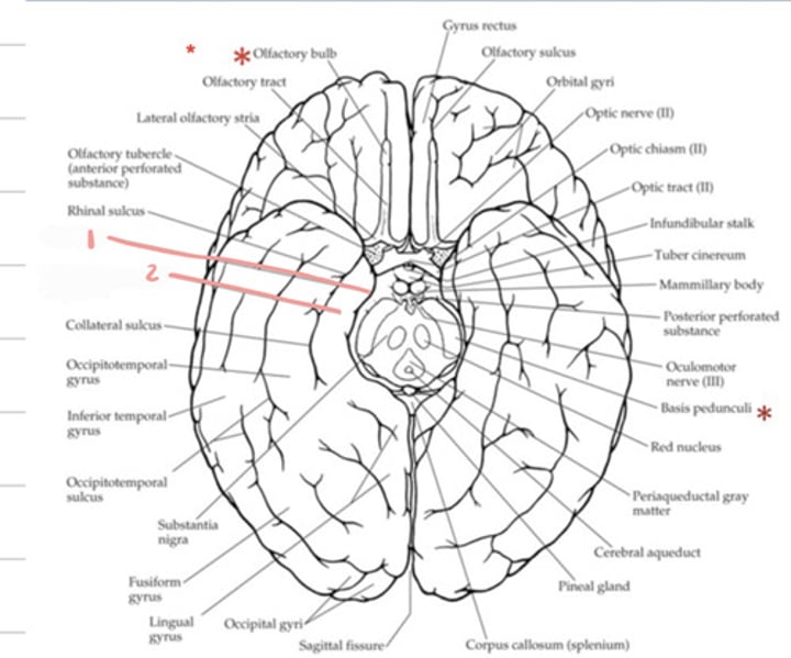 <p>What is 1?</p>