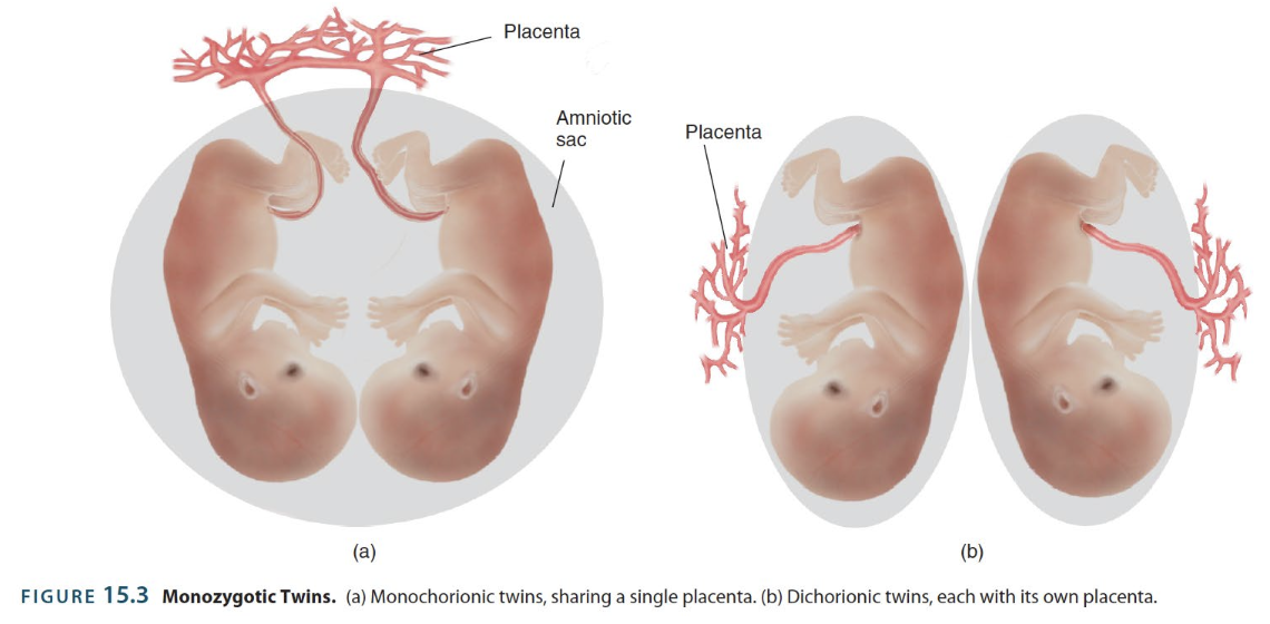 <p>→ supports concordance finding + the importance of environmental factors (in this case, the prenatal environment) </p><ul><li><p>Monochorionic (identical) twins share 1 placenta, unlike dichorionic (fraternal) twins who each have their own</p></li></ul><p></p>