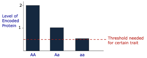 <p>What does this graph for partial penetrance show?</p>
