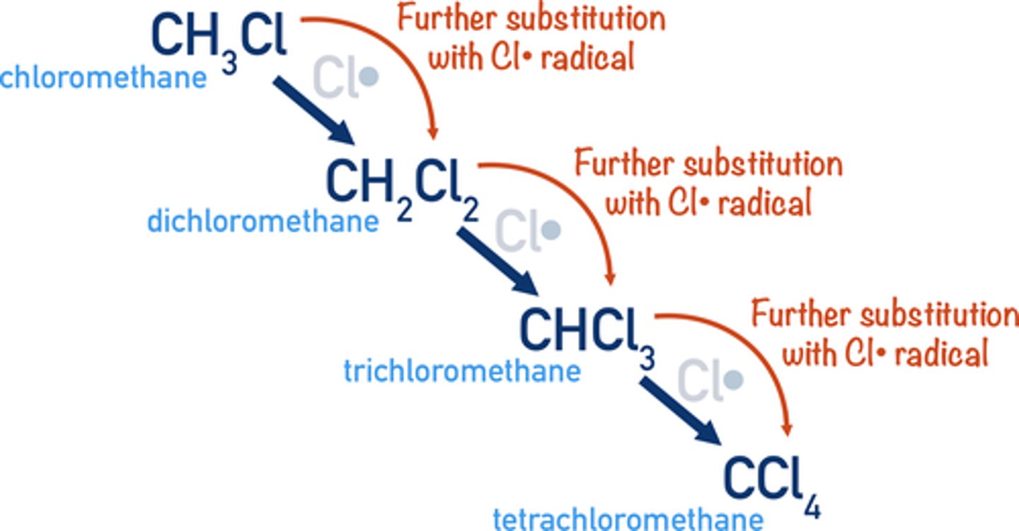 <p>if an alkane is reacted with an excess halogen each hydrogen atom can be replaced in turn by a halogen atom</p>