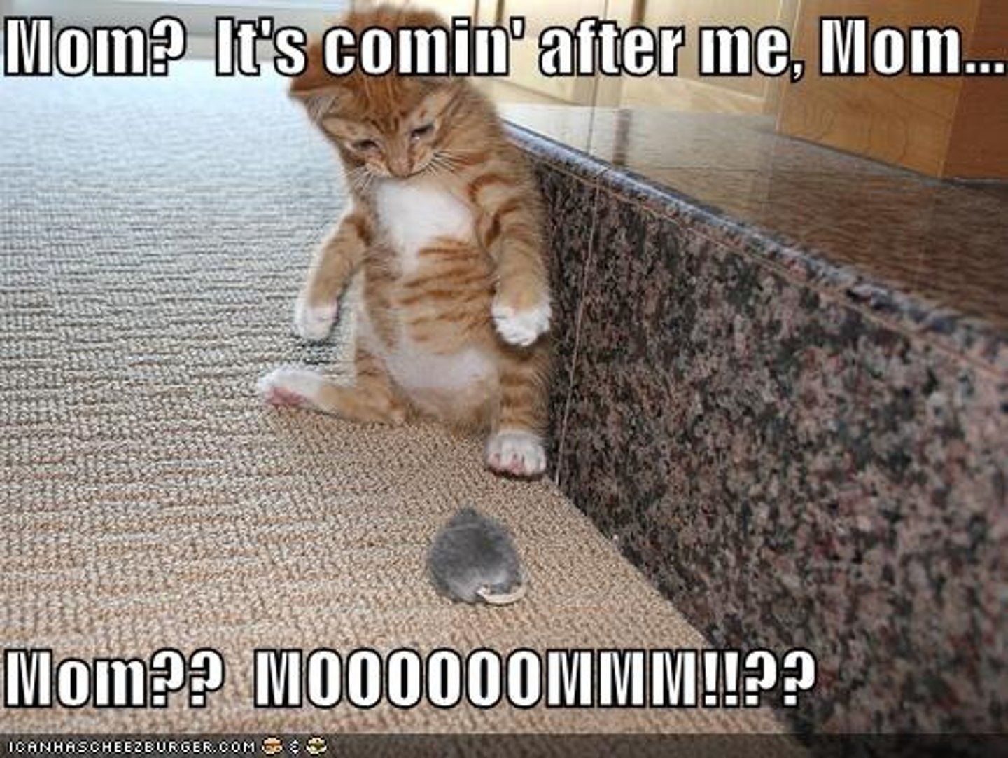 <p>inclined to prey on others; Think of the big bad wolf chasing the little pigs. Or a big kitty cat trying to catch a little mouse. The big animal that wants to gobble up the small one is being ___. Grrrr!</p>