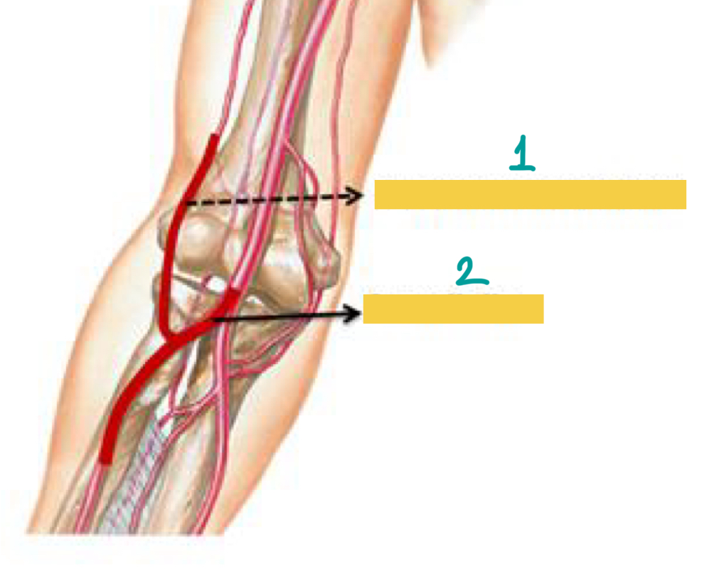 <p>1</p>