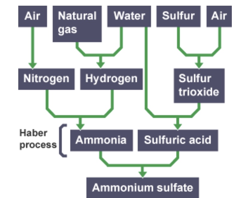 <p>What temperature does the reaction between ammonia gas and sulfuric acid take place at?</p>
