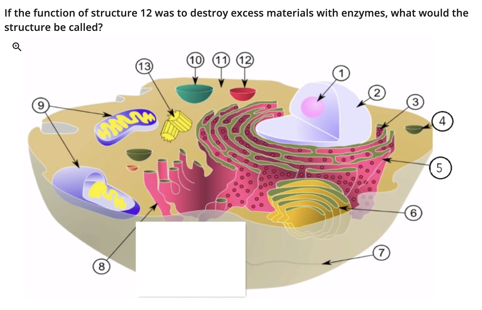 knowt flashcard image