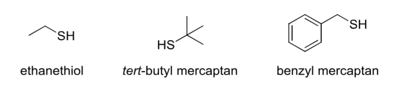 <p>Contains an <strong>-SH group</strong>.</p>