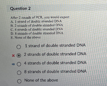<ul><li><p>4 strands of double stranded DNA.</p></li></ul><p>2^n</p><p>After 2 rounds of PCR, starting with one double-stranded DNA molecule, you will have <strong>4 double-stranded DNA molecules</strong>, as PCR exponentially doubles the target DNA with each cycle, following the formula</p><p><span>2n2 to the n-th power</span></p><p><span>2𝑛</span></p><p>(where n is cycles), making it <mark>2^2 = </mark><strong><mark>4</mark>.<span>&nbsp;</span></strong></p><p></p>