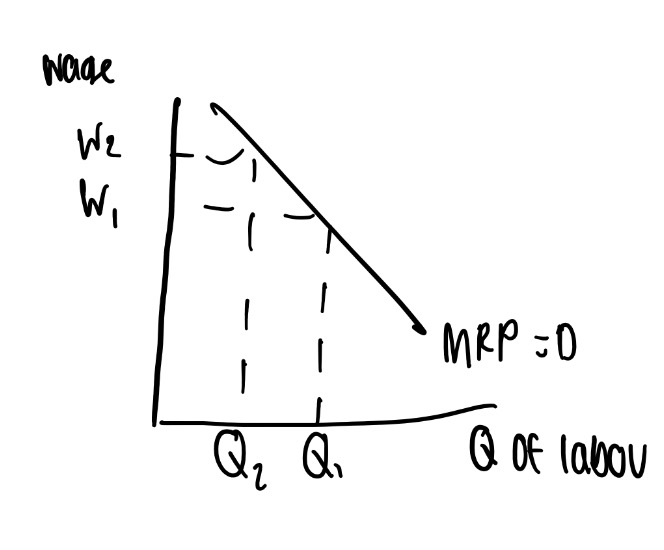 <p>o This determines how many buyers of labour there is. If there is only one employer, for example the NHS, the demand for labour is lower than if there are many employers, such as in the supermarket industry.</p><p>o The lower demand for labour can mean wages are lower, so trade unions try to encourage higher wages.</p><p>Wage rates:</p><ul><li><p>A wage is the price of labour and so has the same influence on demand for labour as price has on the demand for a product. As wage rates increase, demand for labour contracts since the MRP of labour must be higher for it to be worthwhile employing more people, so less people are employed.</p></li></ul>