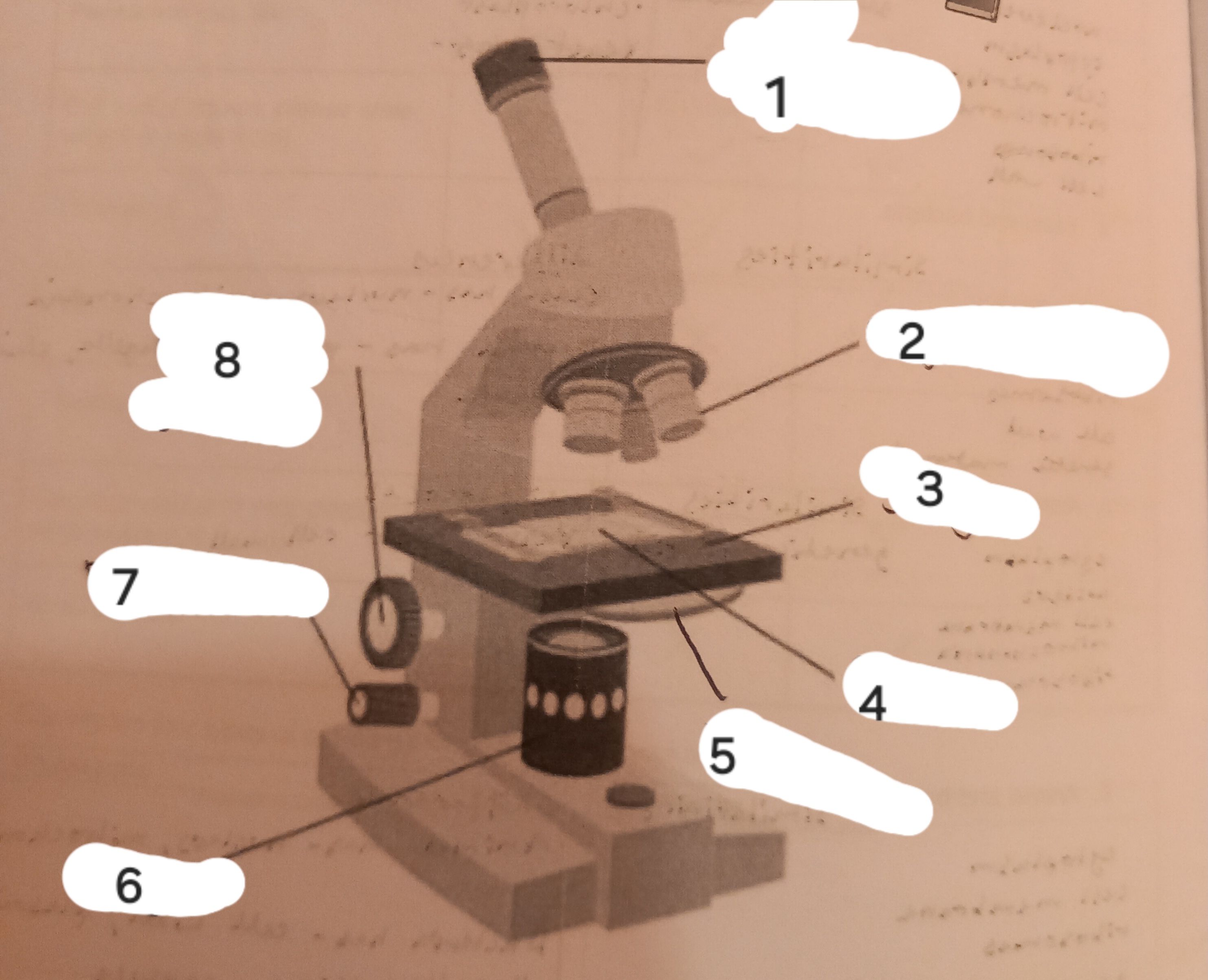 <p>Label the parts of a microscope</p>