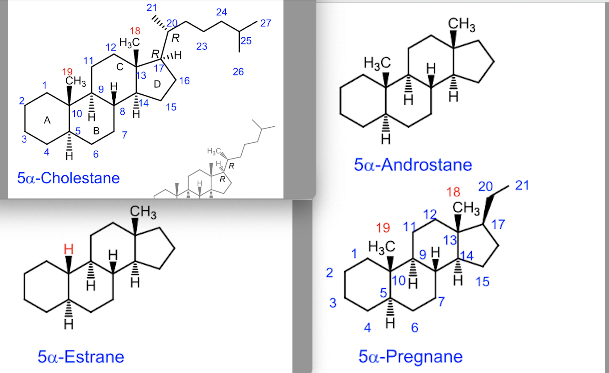 <p>Cholestane</p><ul><li><p>27 carbons</p></li><li><p>rings trans fused </p></li><li><p>up → beta</p></li><li><p>down → alpha </p></li></ul><p>Adrostane</p><ul><li><p>19 carbons</p></li><li><p>no carbon sub at C-17</p></li><li><p>androgens </p></li></ul><p>Pregnane</p><ul><li><p>21 carbon</p></li><li><p>2 carbon side chain at C-17</p></li><li><p>progestins and adrenocorticoids</p></li></ul><p>Estrane</p><ul><li><p>18 carbons</p></li><li><p>no methyl at C10, no side chain at c-17</p></li><li><p>estrogens </p></li></ul><p></p>