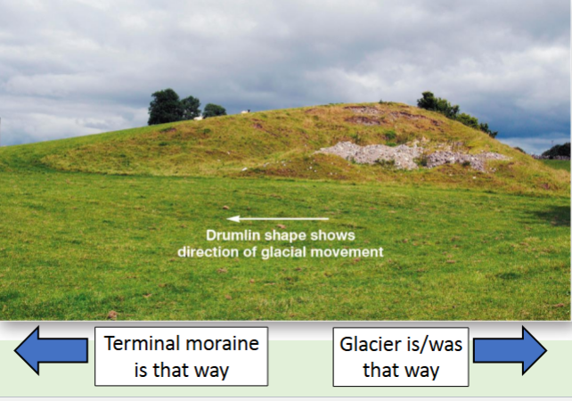 <p>Central MA has several drumlin fields</p><p>Several near Pine Hill Reservoir</p><p>Boston Harbor islands are drumlins</p>