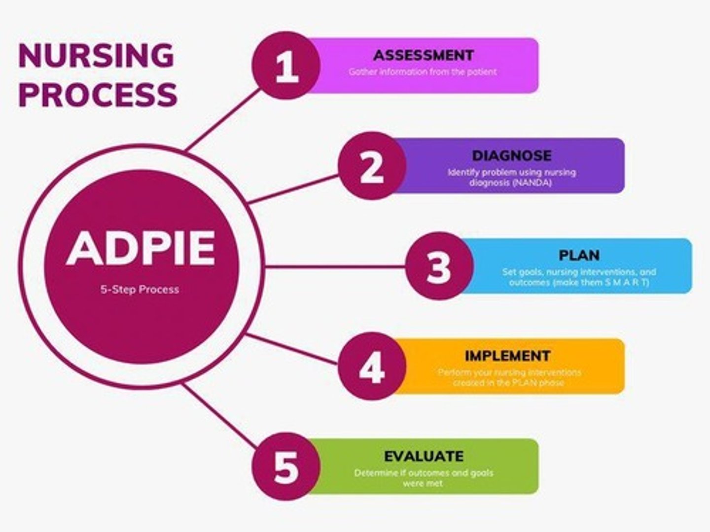<p>Assessment, Diagnosis, Planning, Intervention, Evaluation.</p>