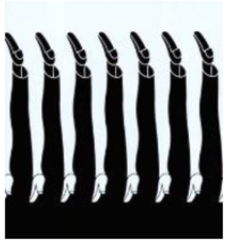 <p>organization of visual field into its objects (figures) and surroundings (ground)</p><p>if you are looking at a screen, that becomes the figure, and the surrounding environment becomes the ground</p>