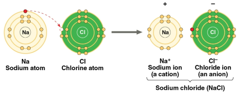 <p>Ionic bond</p>