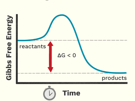 <p>What type of reaction is this?</p>