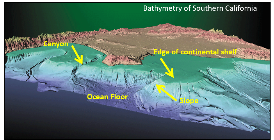 <ul><li><p>canyons can cut back from the ocean floor through the continental shelf, allowing them to tap sediment directly from deltas or shorefaces</p></li><li><p>landslides in deep water are triggered by:<br>→ Earthquakes<br>→ Oversteepening of deposited sediment</p></li></ul><p></p>