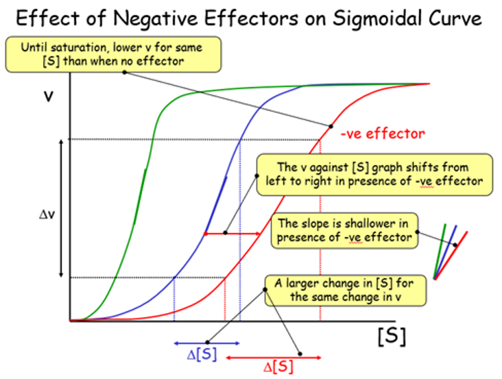 <p>move s curve right, shallower slope</p>