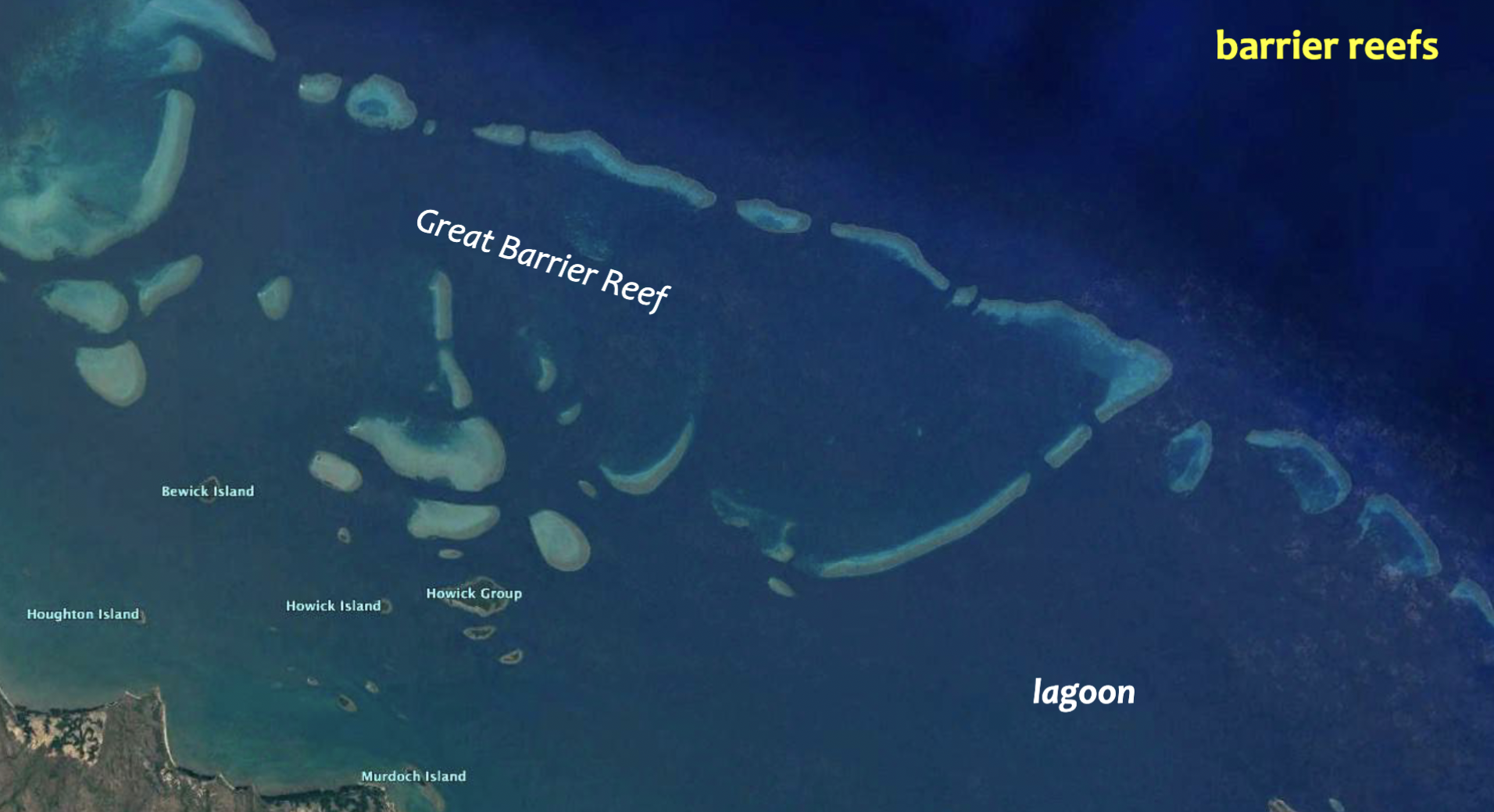 <p>Reefs separated from land by a deep channel or lagoon with a raised outer (seaward) edge (for greater food supply and therefore faster growth)</p>