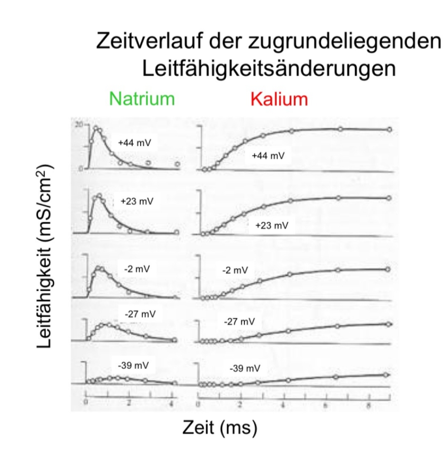<p>Cerca di descrivere questo grafico cagoso </p>