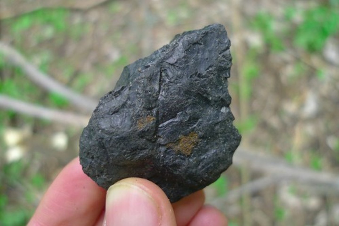 <p>Sedimentary Rock</p><p>Color: black or dark brown</p><p>Streak:</p><p>Layers: yes</p><p>Texture: sooty</p><p>Shiny: bright and dull bands</p><p>Hardness: softer than anthracite coal</p><p>Other: Contains very tiny fossils</p><p>lower carbon content than anthracite coal</p>