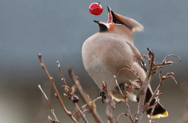 <p>What is demonstrated in the picture?</p>