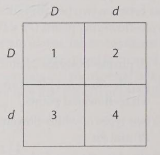 <p>Which of the plants will be true-breeding?</p><p>A) 1 and 4</p><p>B) 2 and 3</p><p>C) 1 - 4</p><p>D) 1 only</p><p>E) none</p>