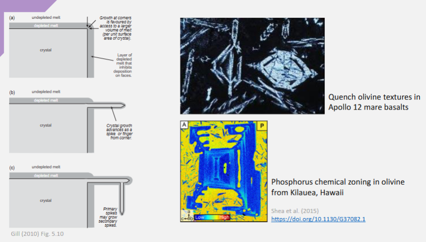 <p>dendritic spikes when cooled</p>
